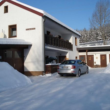 Haus Steinwaldblick Lägenhet Bernlohe  Exteriör bild