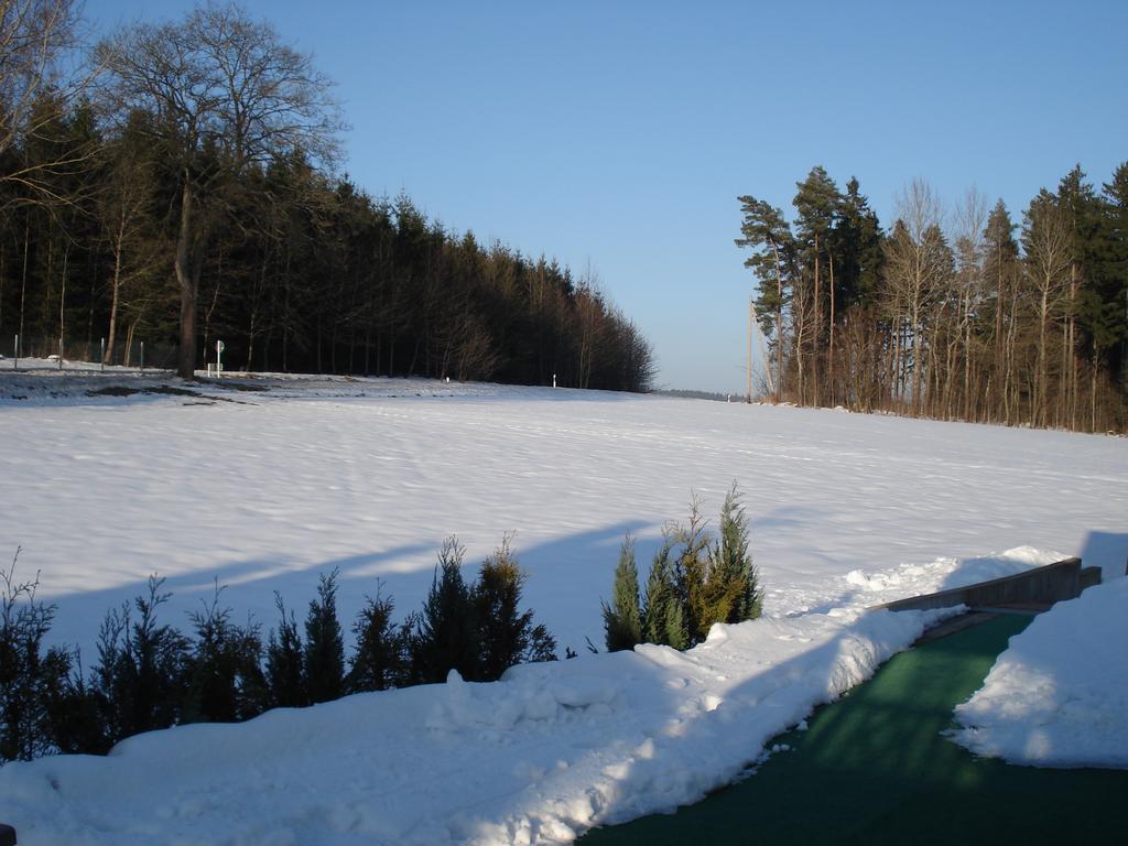 Haus Steinwaldblick Lägenhet Bernlohe  Exteriör bild